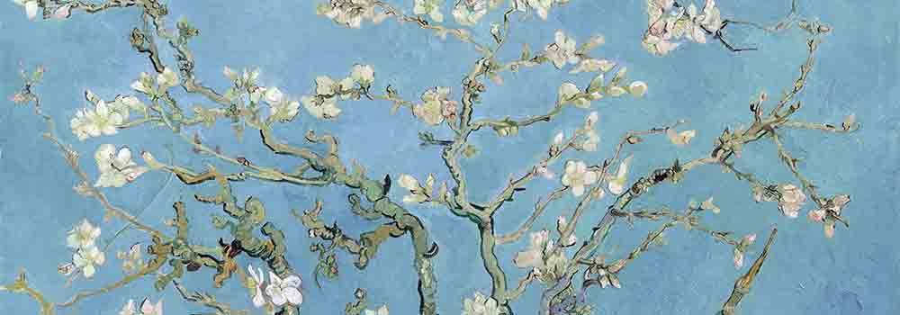 Rappresentazione del mandorlo di Van Gogh
